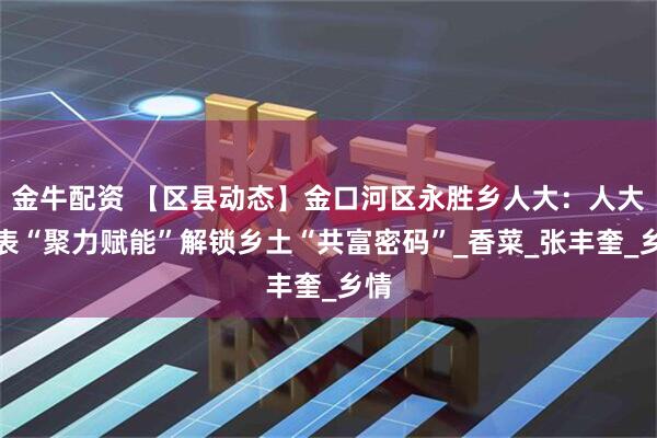 金牛配资 【区县动态】金口河区永胜乡人大：人大代表“聚力赋能”解锁乡土“共富密码”_香菜_张丰奎_乡情