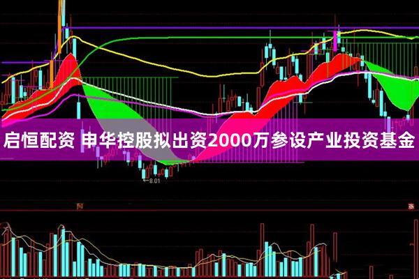 启恒配资 申华控股拟出资2000万参设产业投资基金