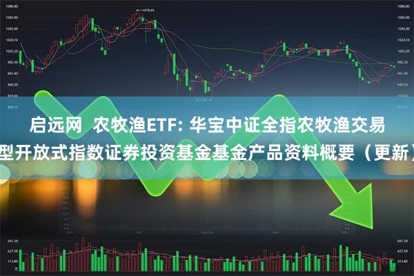 启远网  农牧渔ETF: 华宝中证全指农牧渔交易型开放式指数证券投资基金基金产品资料概要（更新）